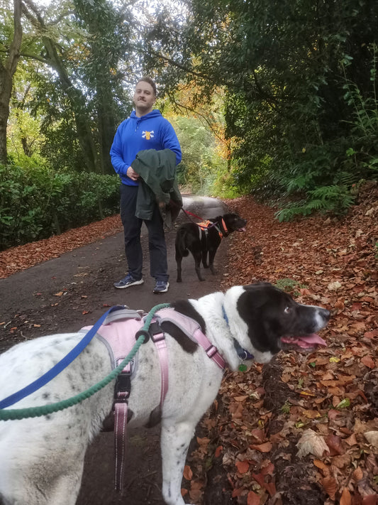 Iron Bone Company founder, James, walking two shelter dogs in the forest in Autumn